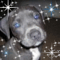 blu pit so kuteeeeeee
