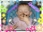 Baby Hope