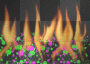 fire