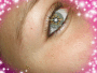Animated Picture