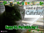 St, Patrick's Day Caturday!
