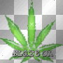 blaze on 