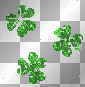 clovers