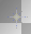 FLASHIN` STAR