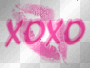 xoxo