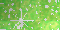lime bg