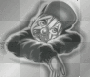 sad clown