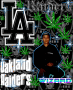 raiders