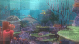 nemo