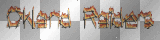 raiders with flames
