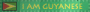 gt