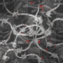 barbed wire