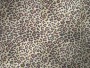 cheetah skin