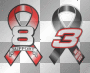 dale earnhardt