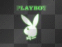 PLAYBOY