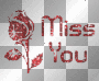 MiSS YOU
