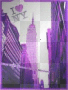 i <3 ny
