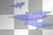 Dolphins