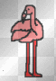flamingo