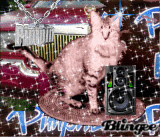 Grafica con effetti glitter