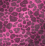 Pink Leopard Print