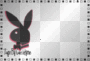 bunny frame