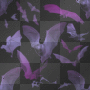 BATS