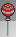 lollypop