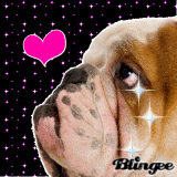 Bulldog's LOVE