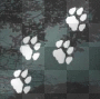 PAWS