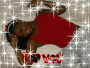 Daney_2