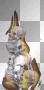 Flaming Skulls