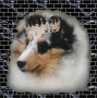 wildchild_2007_07