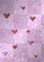 wild hearts