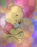Baby pooh