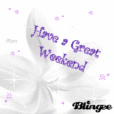 great weekend flower purple