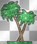 Palm Trees