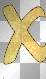 X.
