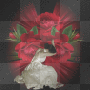 ROSE, HEART, SPARKLE