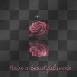 HAVE A BEAUTIFUL WEEK ROSE SPARKLE PINK