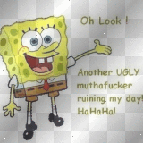 oh look oh look