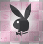 playboy