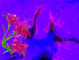 Flowerland