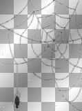 animated spider web
