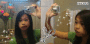 SillY_AlY_x0