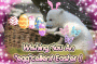 Knut wünscht frohe Ostern