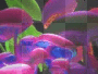 shrooms