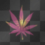 leave