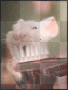 stuart Little