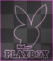 Playboy Bunny